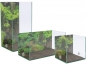 Preview: Photo Background - rainforest - 30x30 - Cube